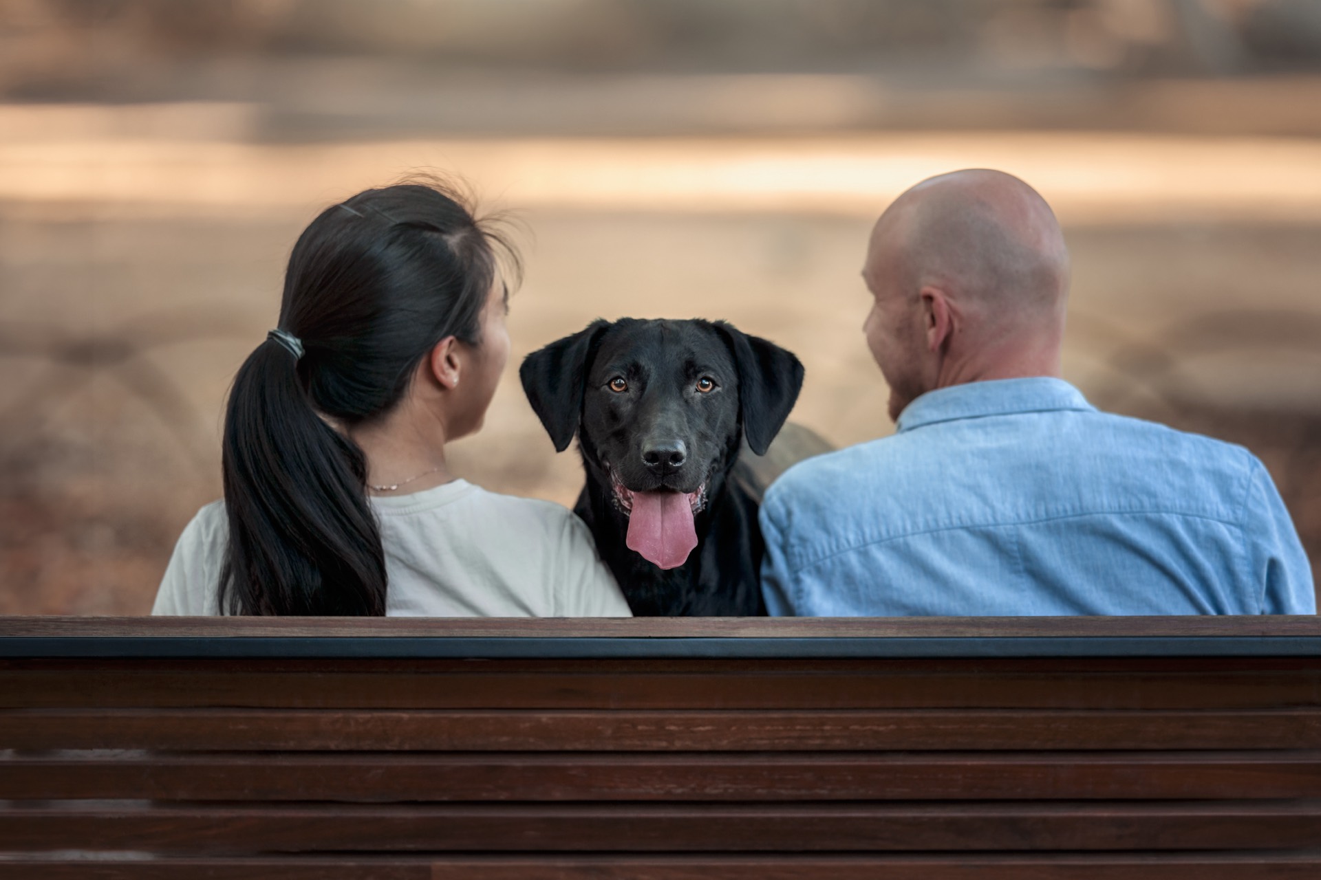 A black Labrador sitting calmly between two owners on a park bench, looking at the camera